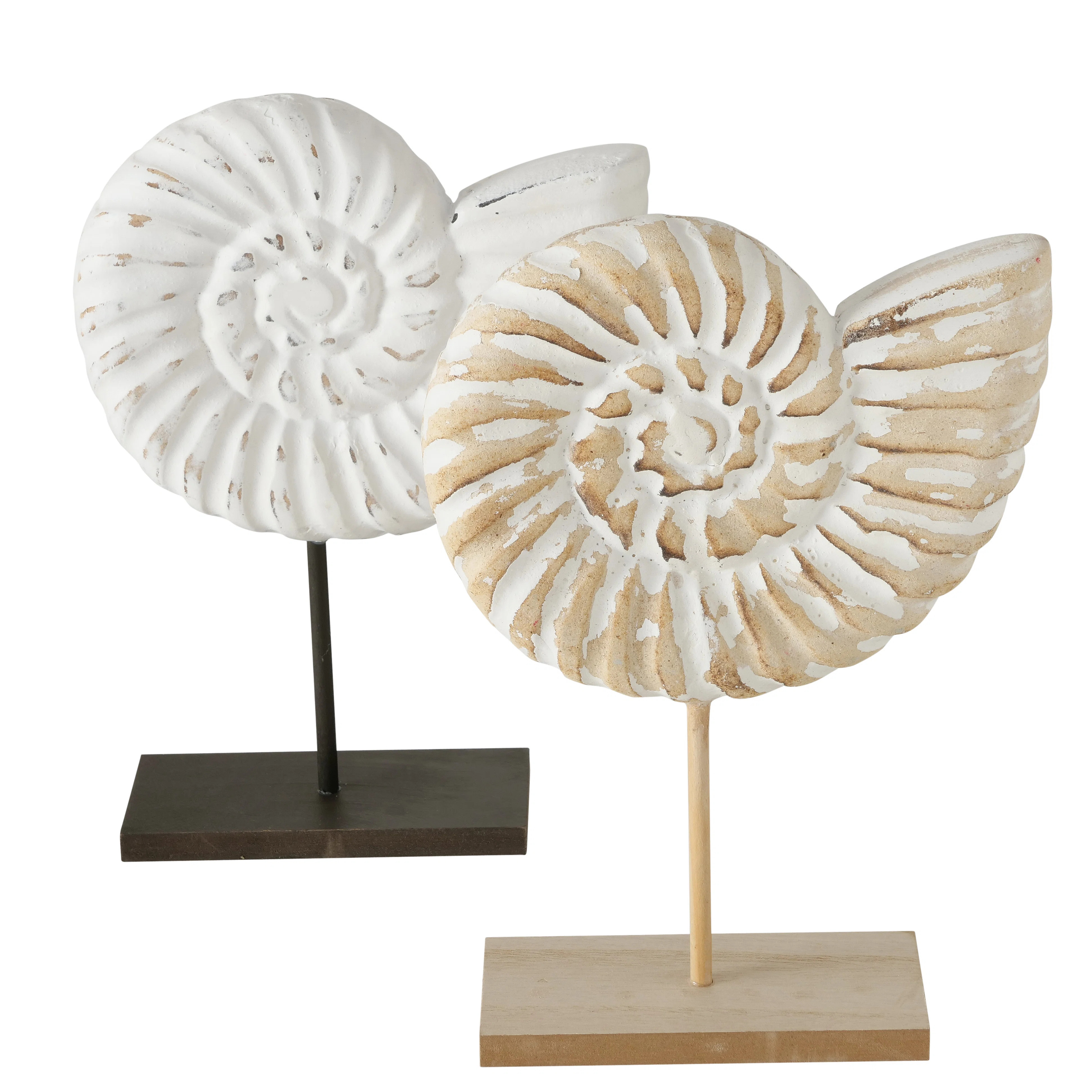 Wadhurst Nautilus Shell Sculpture | Wayfair North America