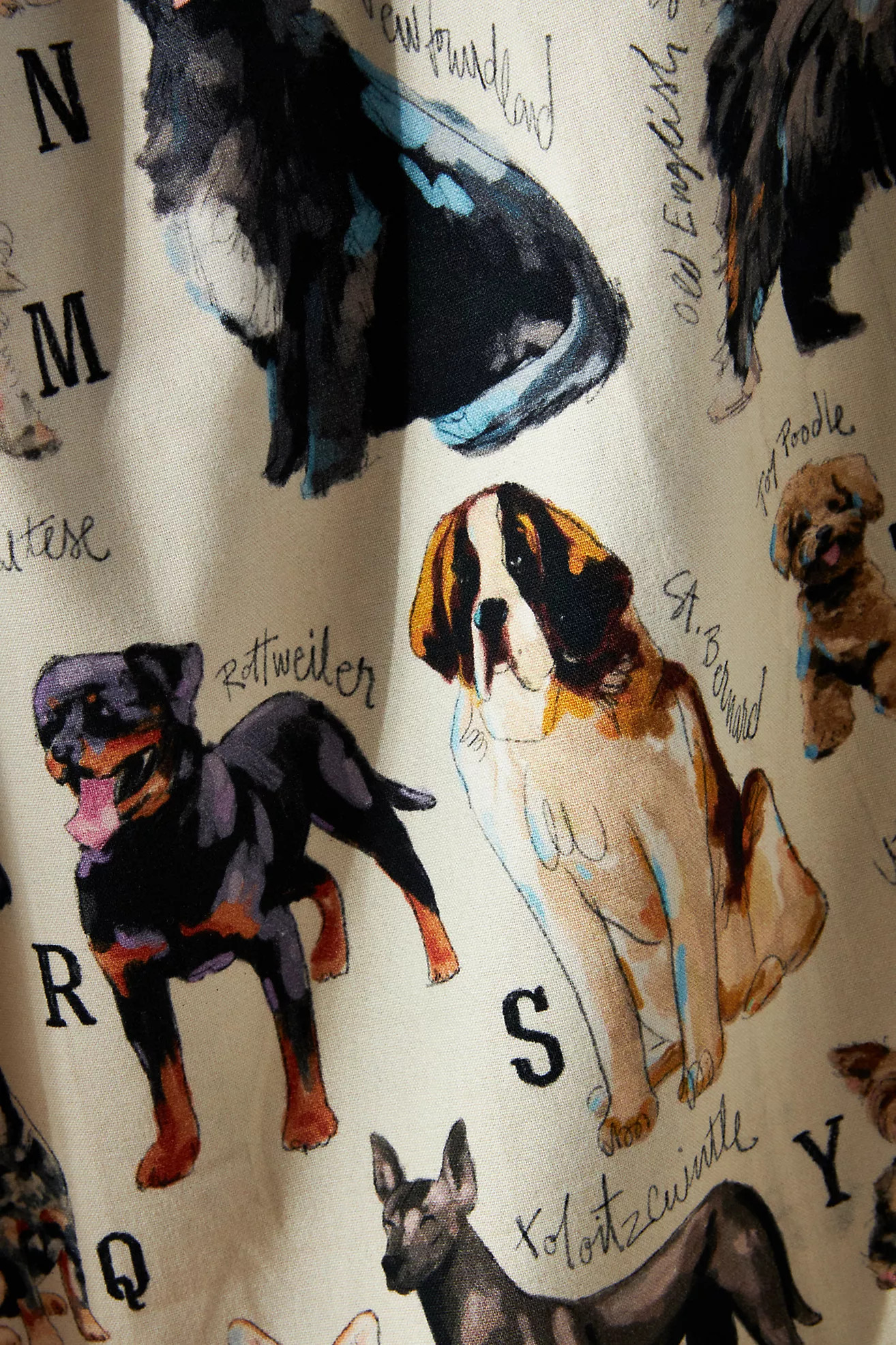 Dog Breeds A-Z Dish Towel | Anthropologie (US)