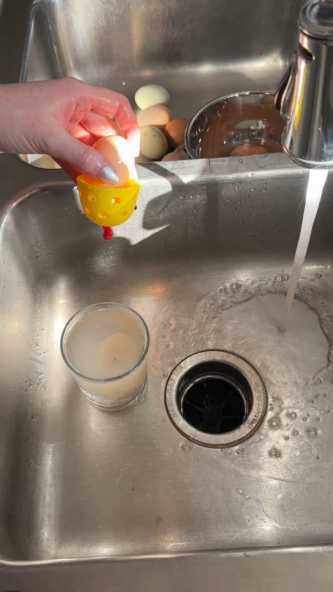 Farm fresh egg cleaner 


Amazon/ clean/ eggs/ scrub/ chickens/ rooster/ cleaning/ home/ tools

#LTKFamily #LTKHome