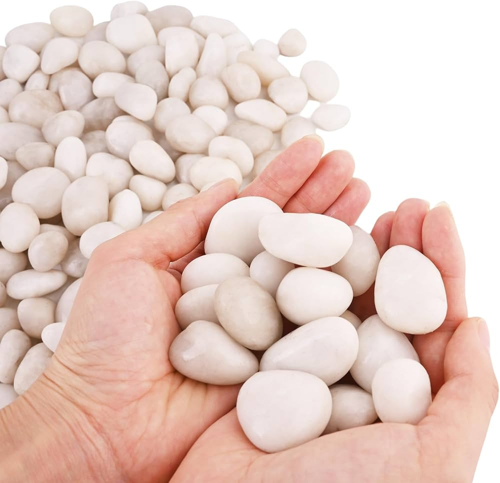 Natural Cream White River Rocks 2-3 Inch High Polished Decorative Rocks Pebbles for Plants Indoor... | Amazon (US)