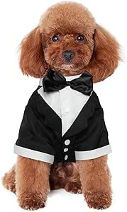 Kuoser Dog Shirt Puppy Pet Small Dog Clothes, Stylish Suit Bow Tie Costume, Wedding Shirt Formal ... | Amazon (US)