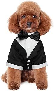 Kuoser Dog Shirt Puppy Pet Small Dog Clothes, Stylish Suit Bow Tie Costume, Wedding Shirt Formal ... | Amazon (US)