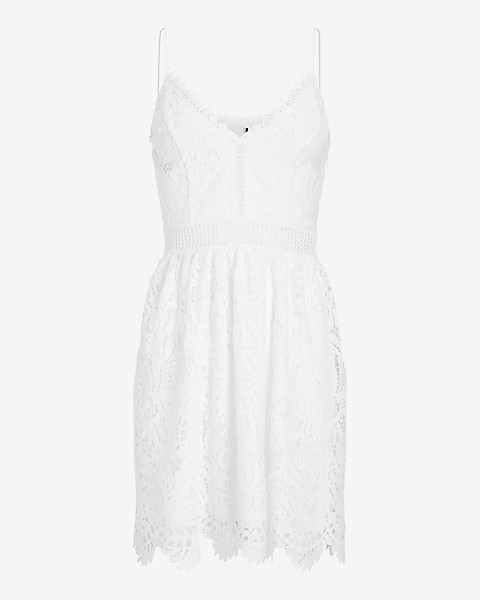 Lace V-Neck Fit And Flare Mini Dress | Express