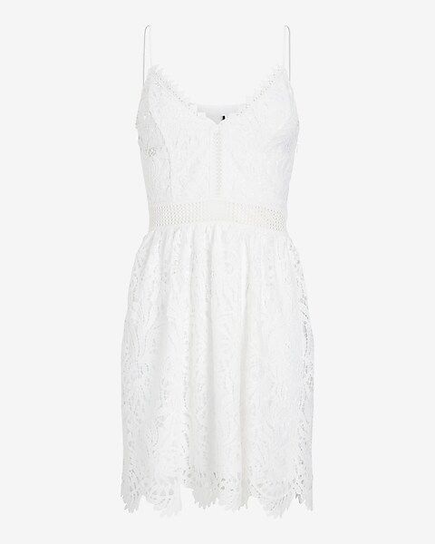 Lace V-Neck Fit And Flare Mini Dress | Express