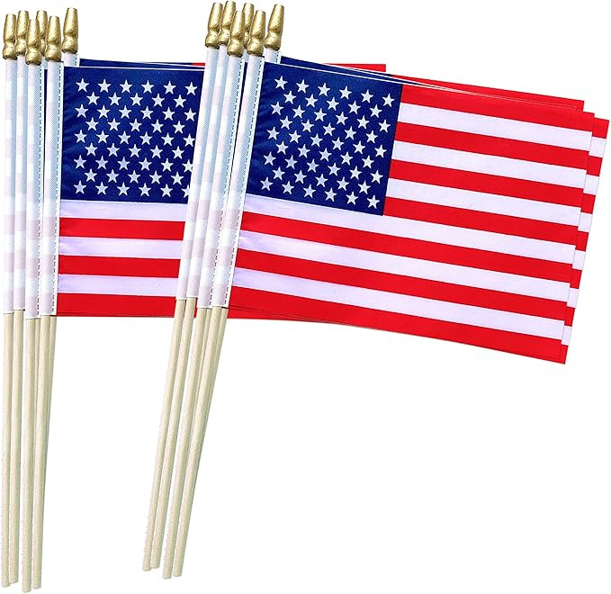 TSMD US American Stick Flags Small Mini USA Hand Held Flags,July 4th Decoration,Veteran Party,Mem... | Amazon (US)