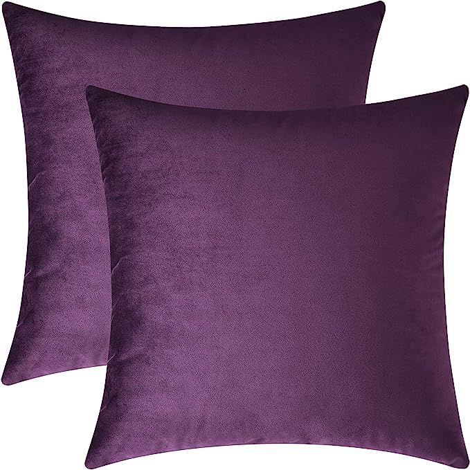 Mixhug Set of 2 Cozy Velvet Square Decorative Throw Pillow Covers for Couch and Bed, Purple, 18 x... | Amazon (US)