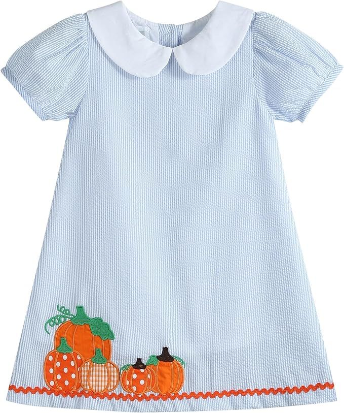 Lil cactus Light Blue Seersucker Pumpkin A-Line Dress | Amazon (US)