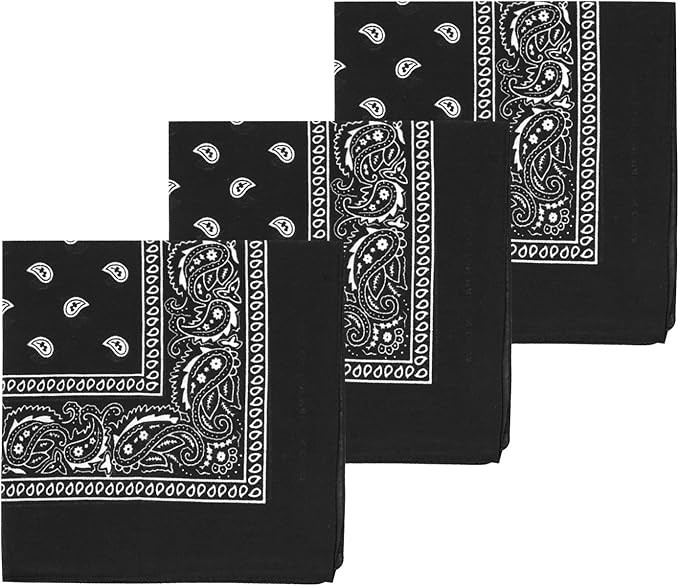 MissShorthair Novelty Paisley Large Bandanas 12 Pack 100% Cotton Cowboy Bandana for Men | Amazon (US)