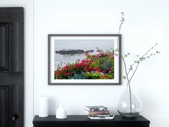 Luxury Lifestyle Photography Print  Laguna Beach Wildlife  | Etsy | Etsy (US)