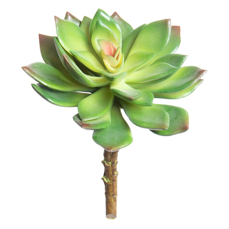 Ash Green Echeveria Succulent Pick, 6" | At Home
