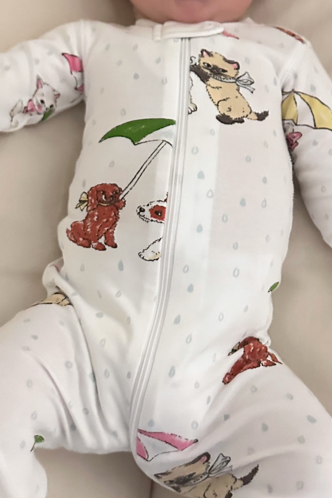 The Beaufort bonnet company raining cats and dogs pjs 🫶🏻

#LTKGiftGuide #LTKBaby #LTKFindsUnder100