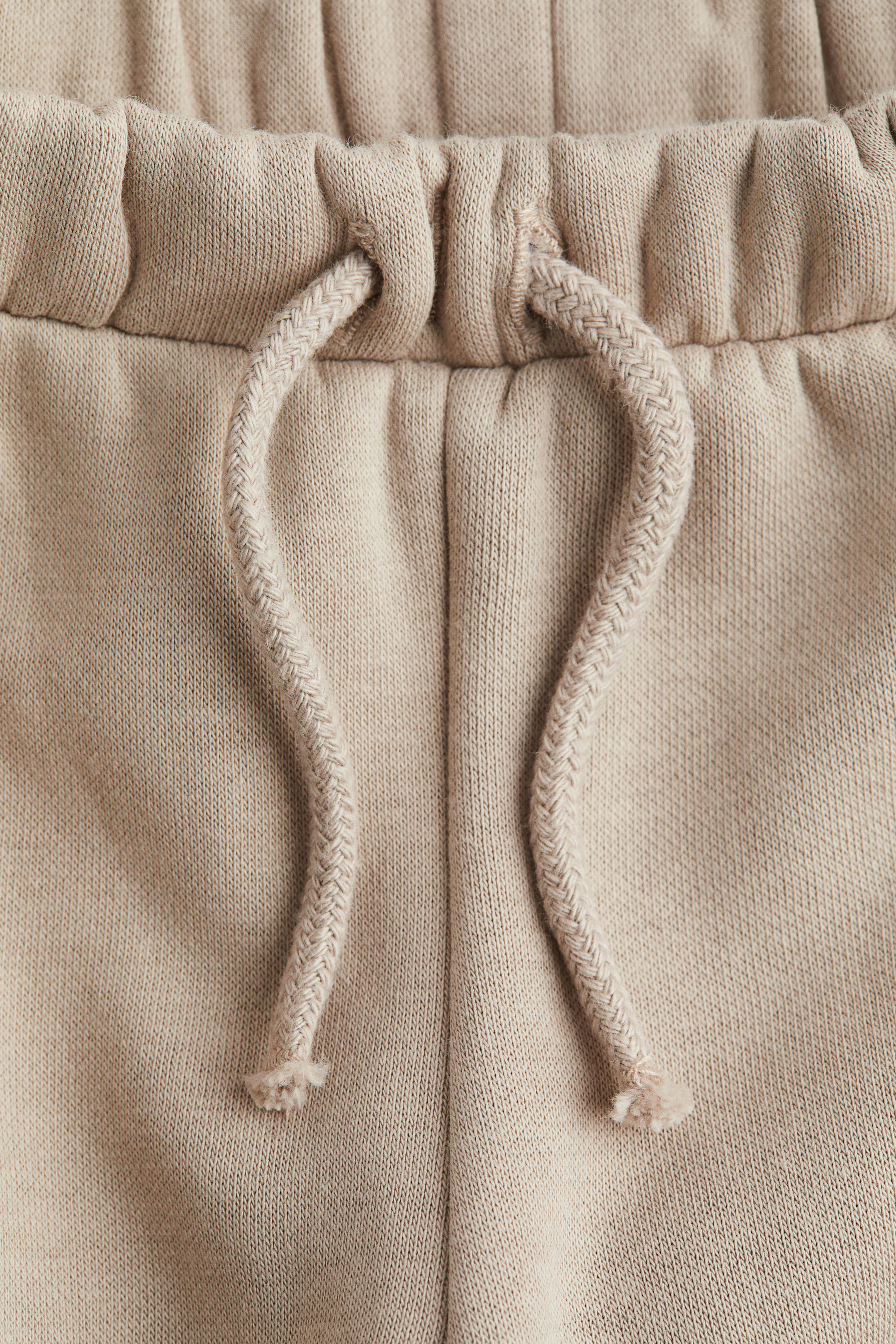 Brushed-Inside Cargo Joggers | H&M (US + CA)