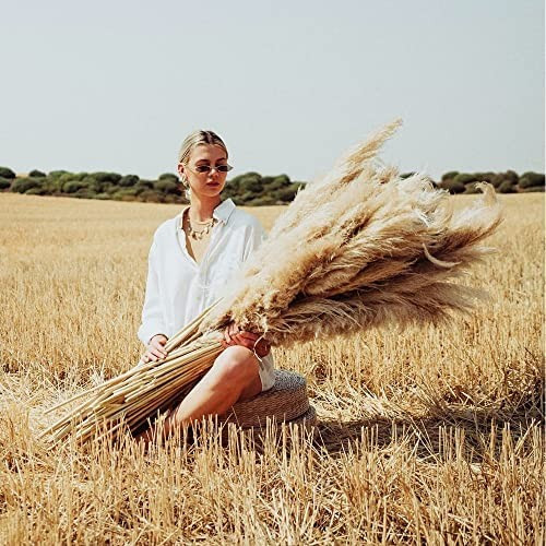 Dried Pampas Grass Decor Tall 48 Inches,8 Stems Tall Pampas Grass Branches Tall Bulk Large,Boho D... | Amazon (US)