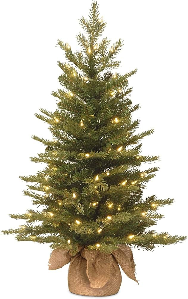National Tree Company 3 ft Pre-Lit Nordic Spruce Mini Artificial Christmas Tree, 100 Clear Lights... | Amazon (US)