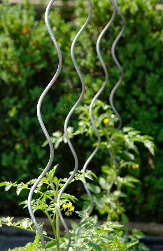 Giordanoshop Set 10 Sostegni Tutori a Spirale per Piante Pomodori 200 cm in Acciaio Agrati | Amazon (IT)