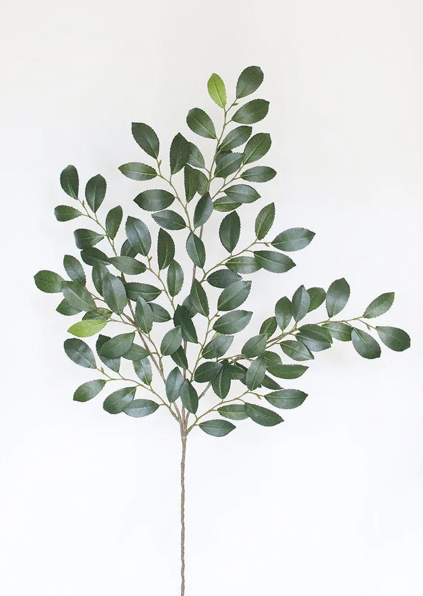 Silk Italian Ruscus Stem - 26" Tall | Afloral (US)