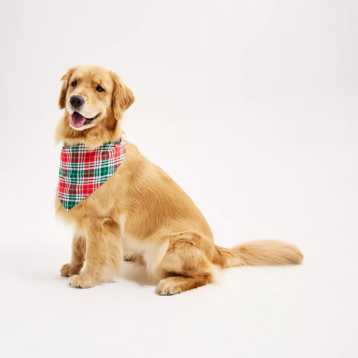 Jammies For Your Families® Merry & Bright Plaid Pet Bandana | Kohl's