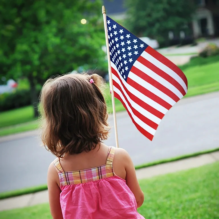 American Polycotton 8" x 12" Stick Flag with Gold Spear Top by Annin, 14-Pack | Walmart (US)