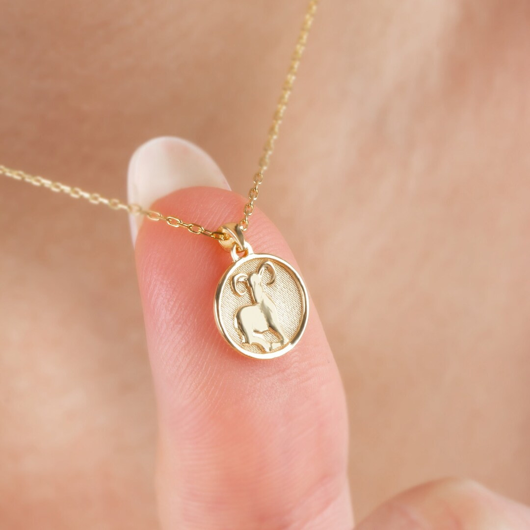 Aries Zodiac Sign 14K Solid Gold Necklace, Aries Sign, Birthstone Necklace, Astrology Necklace, Z... | Etsy (CAD)