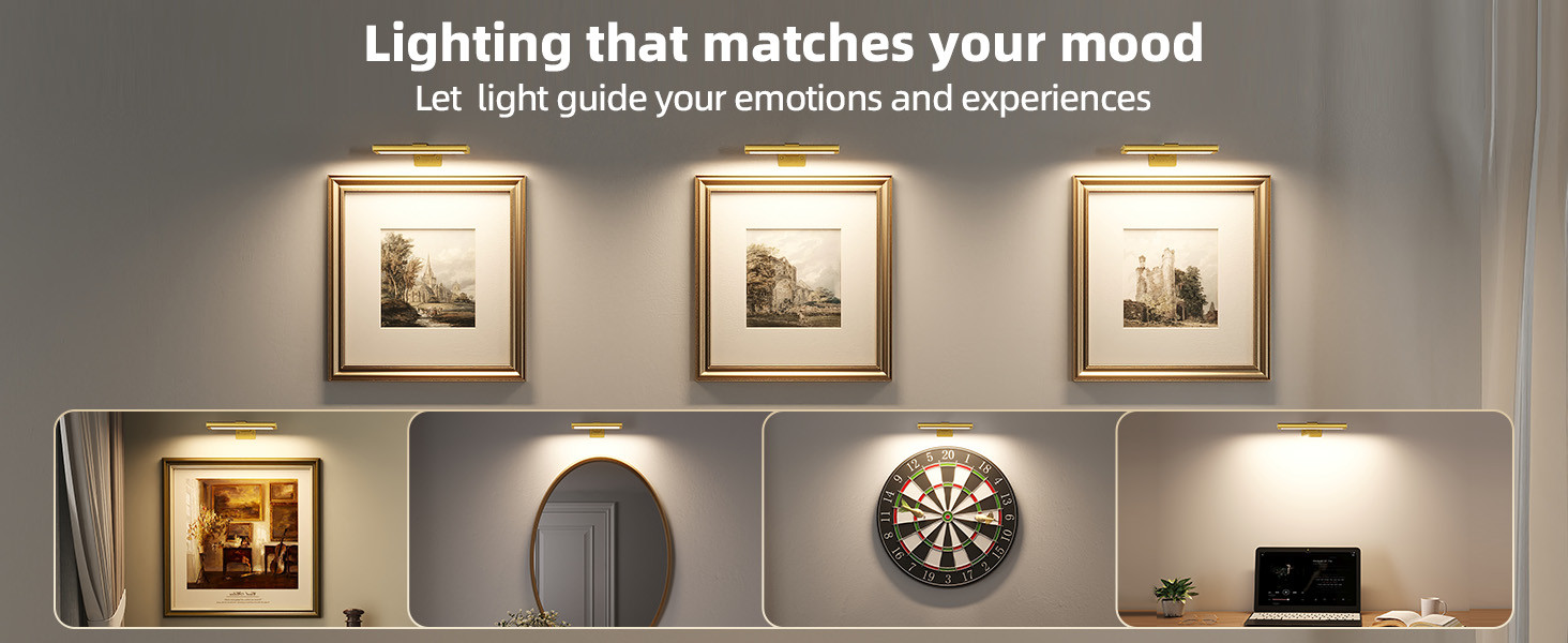 EZVALO Picture Light for Wall, Rechargeable 2400mAh Gold Lights Wireless with IR Remote, 3 Color ... | Amazon (US)