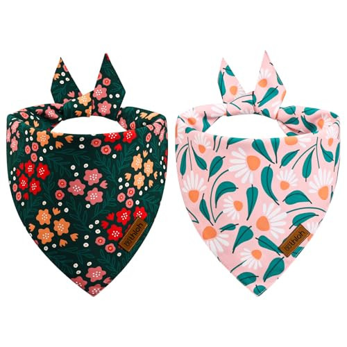 THLOH Spring Dog Bandanas - 2 Pack Floral Dog Scarf for Boy & Girl, Premium Durable Fabric, Adjustable Fit, Gift for Dogs, Daisy Bandana for Medium and Large Dogs (Large) | Amazon (US)