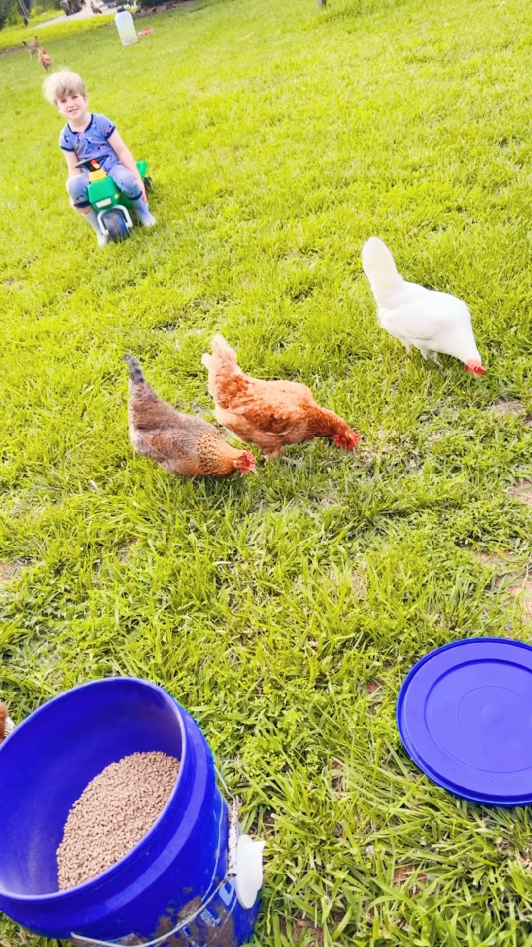 Judson loves when baby brother 👶🏼 sleeps 💤 in so he gets “special time with mommy” 🥰 - we got to see the sweetest mama and baby deer 🦌, fill feed 🥣 and water 💦 for our chickies 🐓, and spend all morning by the garden 🪴 admiring butterflies 🦋 and picking tomatos!! 🍅