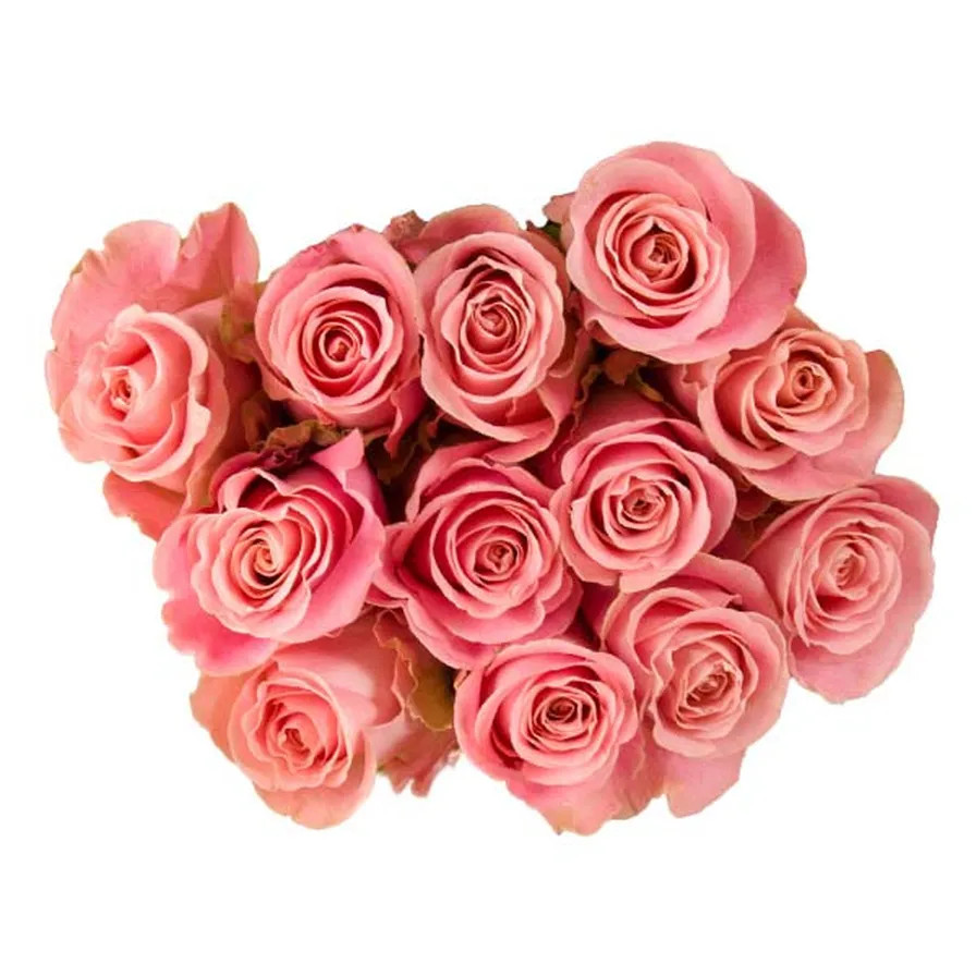 Wegmans Dozen Roses, (12 ST) | Instacart