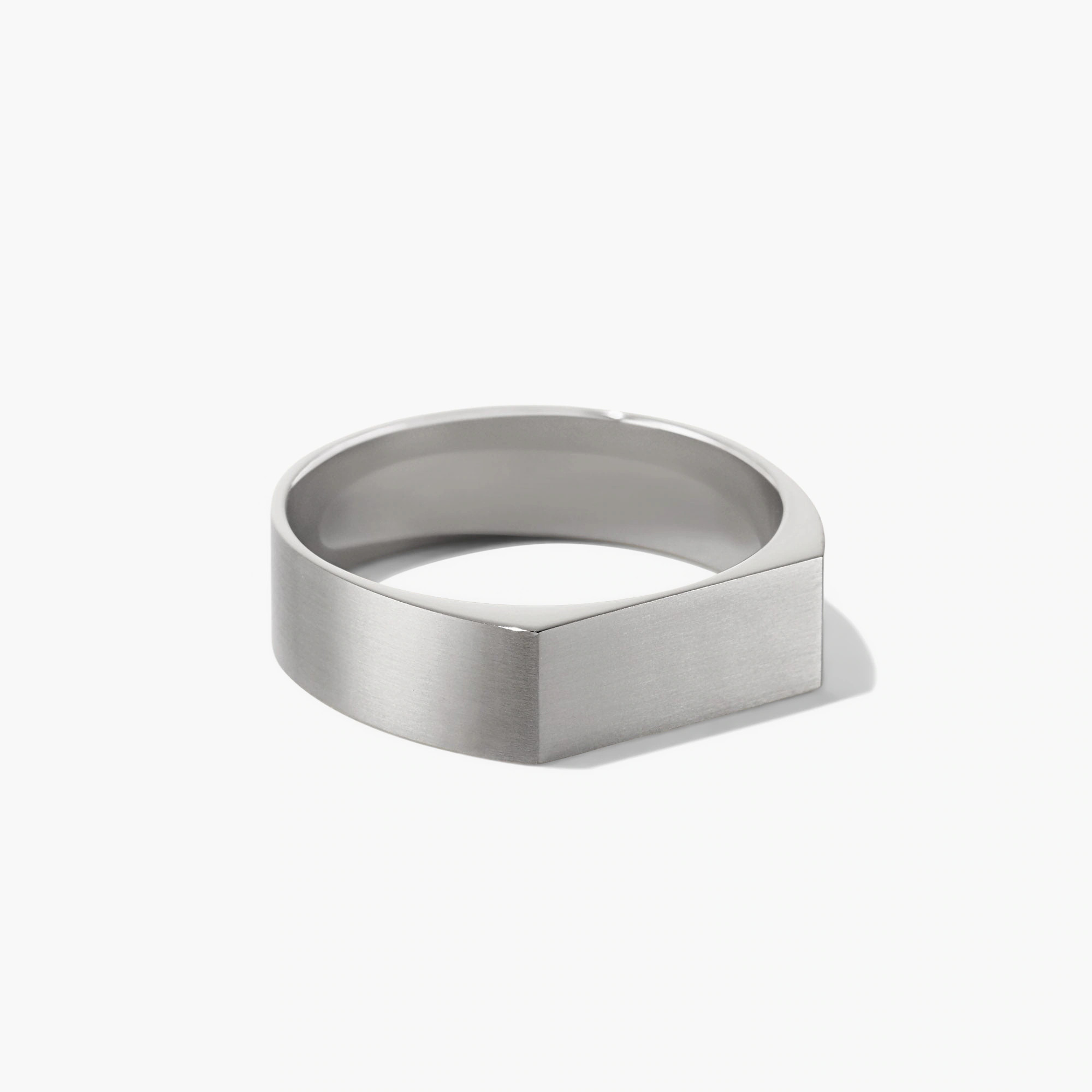 Slim Rectangular Signet Ring | Mejuri Fine Crew