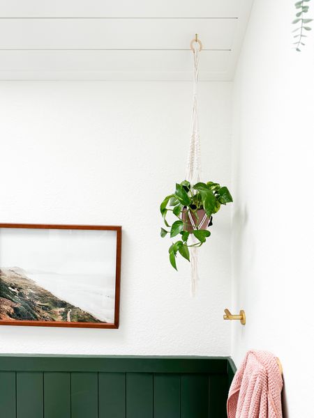 Can you believe I DIY’d this macrame plant hanger?! It was surprisingly easy, just followed a YouTube tutorial. I looked so perfect in this bright corner in our green bathroom  

#LTKhome