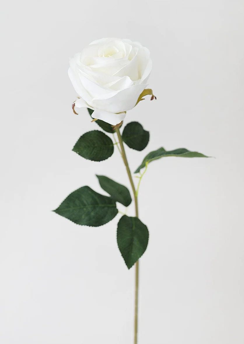 Real Touch White Rose Stem - 20" | Afloral