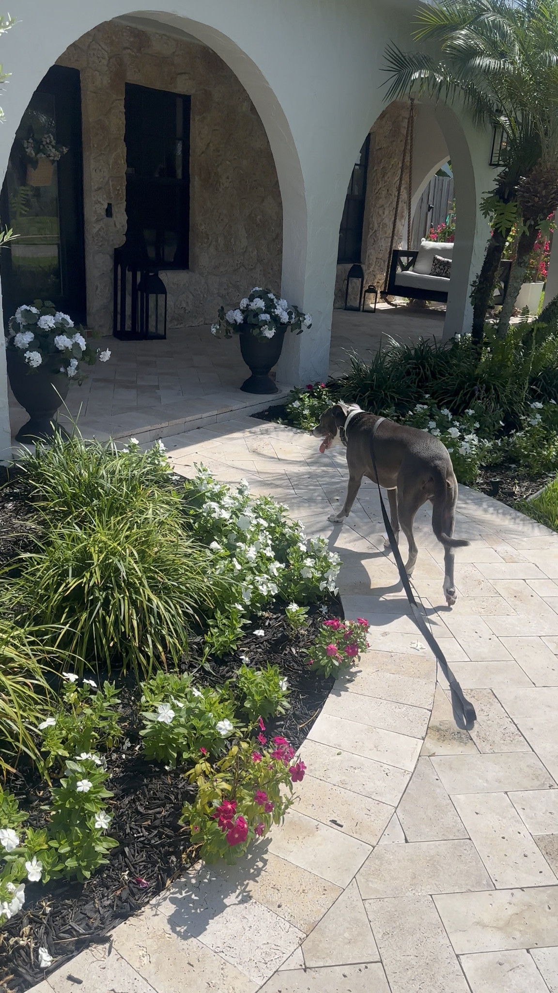 Morning walk 

Walkway
Summer front porch 
Flowers
Hydrangeas
Geraniums 
Summer Porch 
Porch swing
Pavers
Porch
Home decor
Summer walk
Travertine
Stone
Cottage 
DIY home 
Cottage 
Coastal beach house 
4th of July 
Amazon prime day 
Amazon home 
Lowe’s
Planters 
Front door 
Walk 


#LTKHome #LTKSaleAlert #LTKmorningroutine
