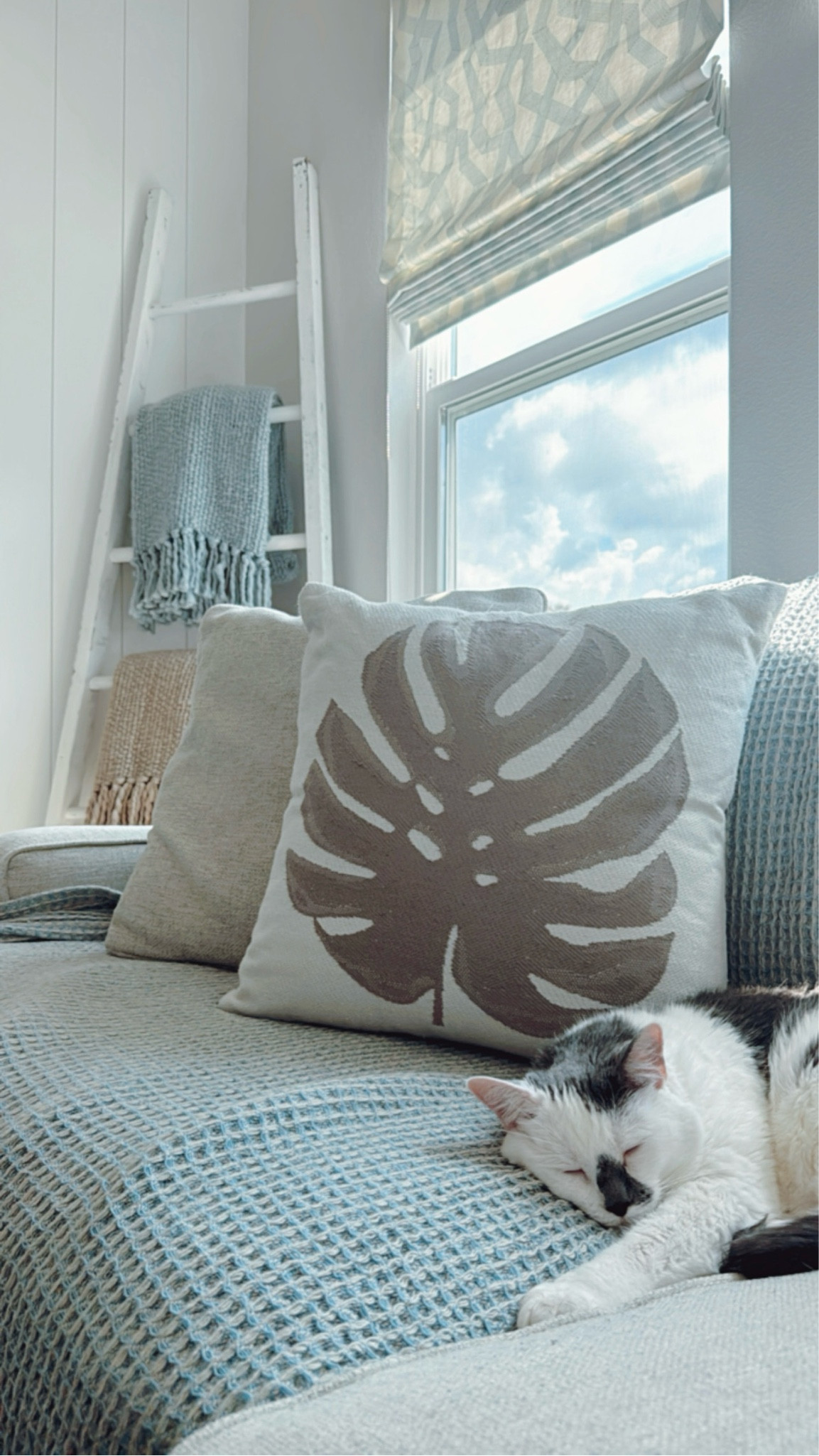 Coastal Living Room SALE 🌊🐚✨ Both coastal accent throw pillows (from Pottery Barn + Crate + Barrel) are on SALE! Our jute rug from Serena + Lily is also majorly discounted! 

Coastal living room furniture, coastal living room lighting, coastal living room rug, coastal living room decor, coastal living room styling, coastal living room decorations, coastal living room aesthetic, coastal home, coastal living room pendant, coastal living room chandelier, modern coastal home, modern coastal living room, modern coastal rug, modern coastal lighting, modern coastal pendant, modern coastal chandelier, modern coastal decor, Beach house furniture, beach home lighting, beach house rug, beach home decor, beach house styling, beach house living room decorations, beach home aesthetic, beach home, beach house pendant, beach home chandelier, coastal pillow, beach pillow, shell pillow, blue living room, white living room, neutral living room, airy living room, bright living room, blue pillow, chambray pillow, neutral pillow, tan pillow, coastal pillow, faux palm leaf, glass vase, oversized vase, sea glass vase, floor vase, faux plant decor, chambray blanket, blue blanket, textured blanket, throw blanket, knit blanket, sand dollar pillow, couch styling, throw blankets for couch, blanket ladder, waffle weave blanket, coastal bedding, large floor glass case, shiplap wall, accent wall, coastal wall, rattan rug, rattan pendant, rattan chandelier, rattan lighting, straw pendant, beach house lights, beach house pendant, jute rug, straw rug, neutral rug, blue rug, blanket basket, pottery barn, Serena and lily, crate and barrel, natural pendant, natural rug

#LTKStyleTip #LTKHome #LTKSaleAlert