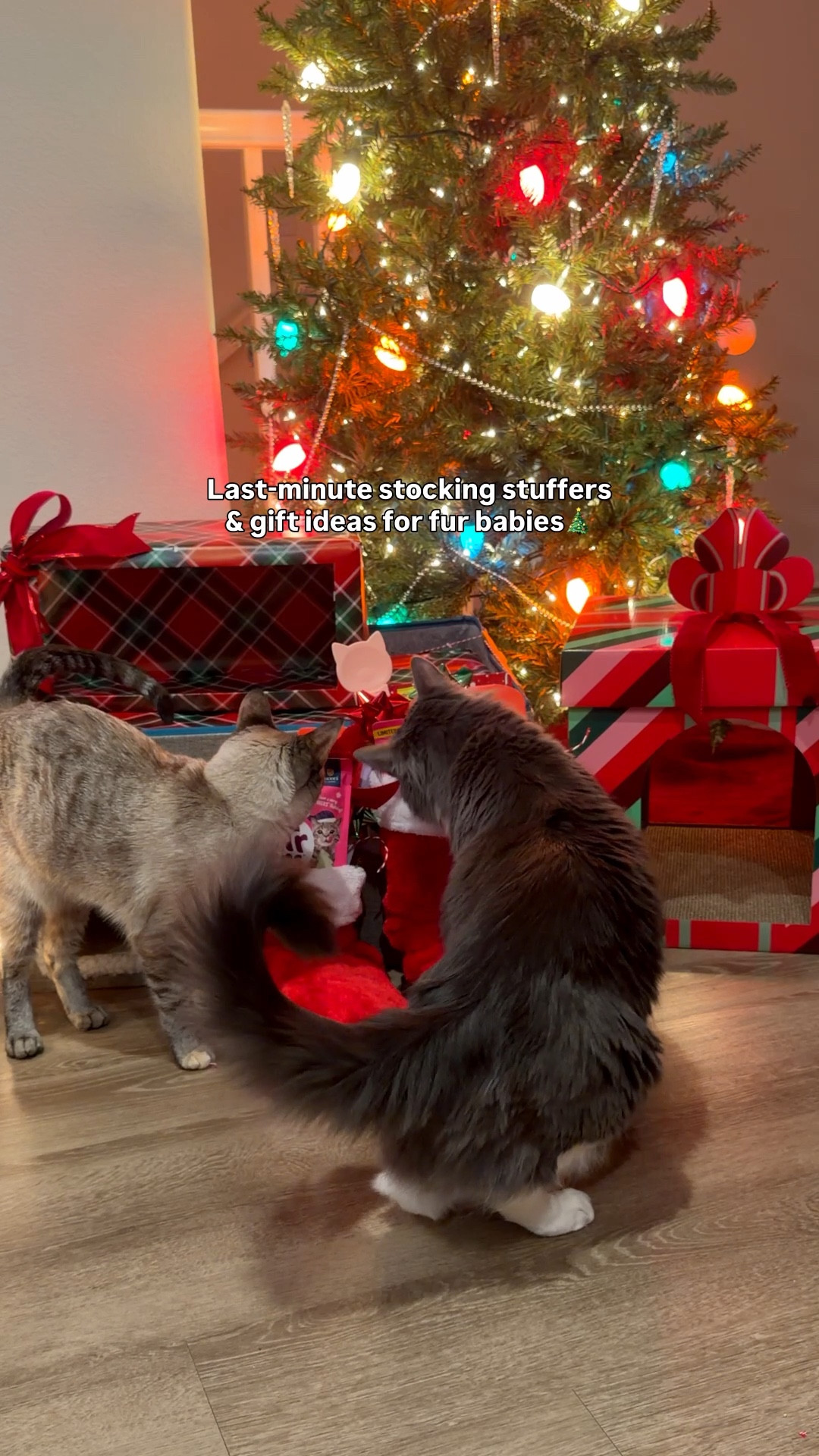 Last-minute stocking stuffers for fur babies🎄🐾

#LTKSeasonal #LTKHome #LTKHoliday