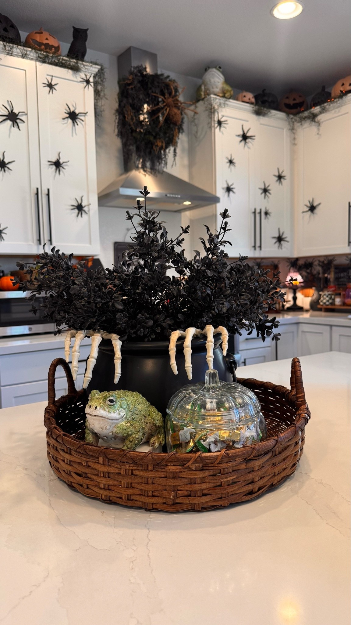 Witchy Centerpiece 🐸✨🎃 #halloween

#LTKHome