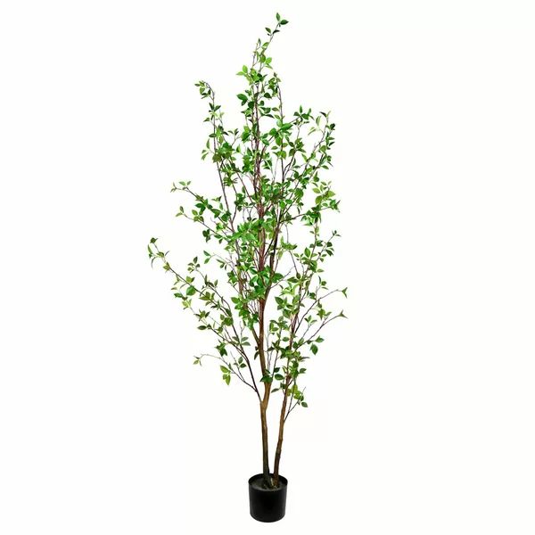 Artificial Baby Leaf Tree in Pot | Wayfair Professional