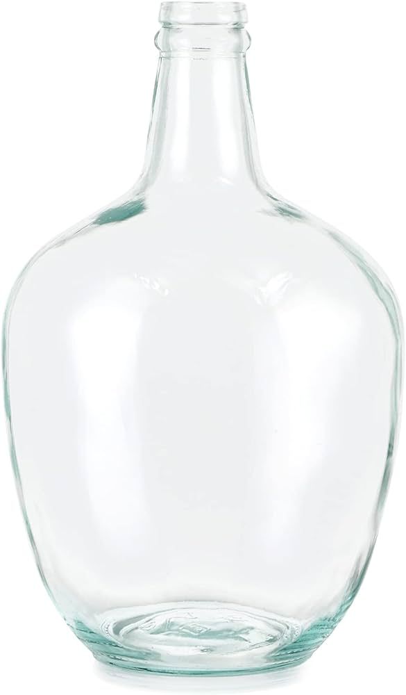 MDLUU Glass Jug Vase 10" Tall, Clear Flower Vase, Decorative Bottle Vase for Dining Room, Bedroom... | Amazon (US)