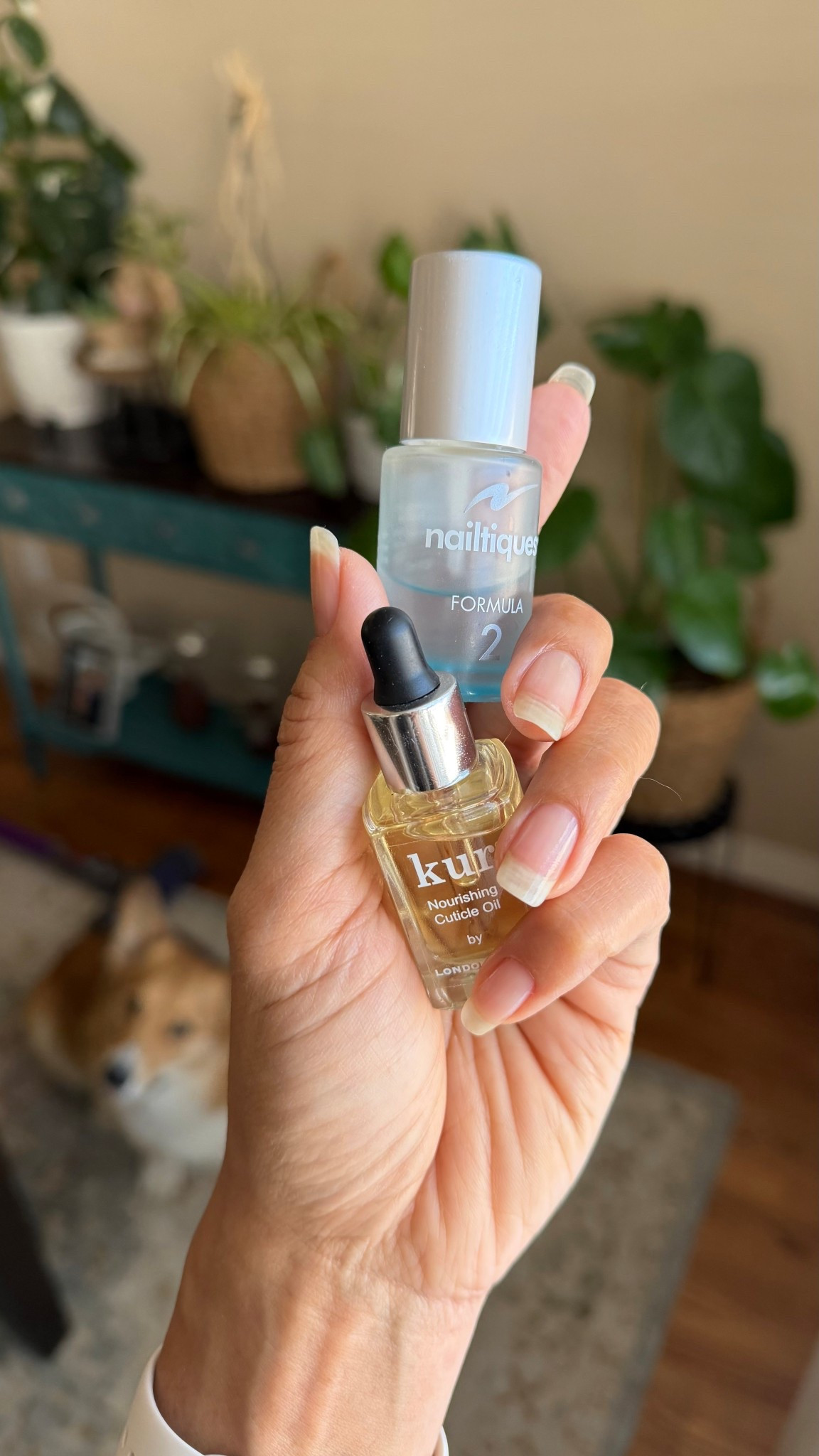 The secret to my long healthy nails 💅 

#LTKselfcare #LTKBeauty #LTKgrwm