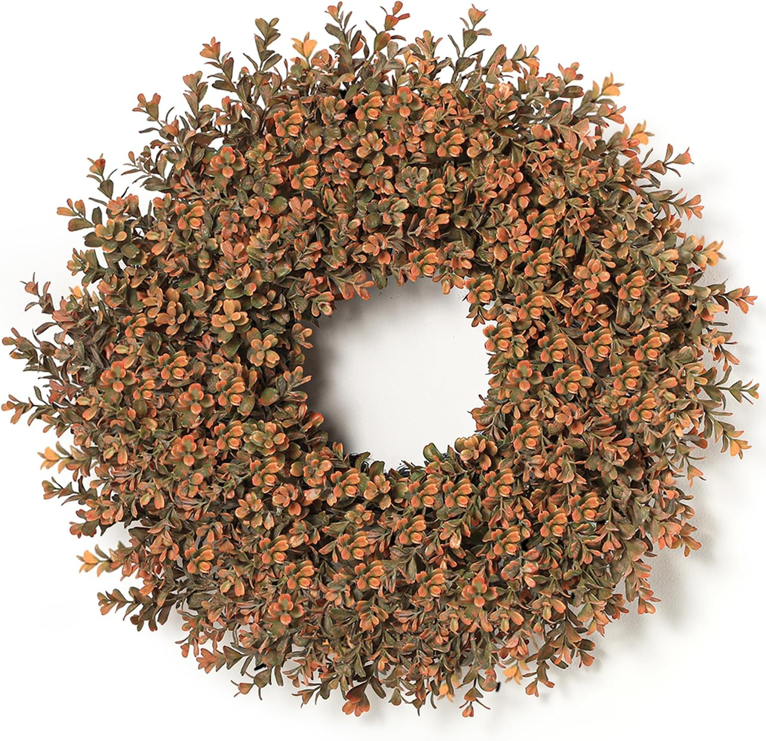 26'' Fall Wreath for Front Door, Artificial Autumn Boxwood Wreath Outdoor | Amazon (US)