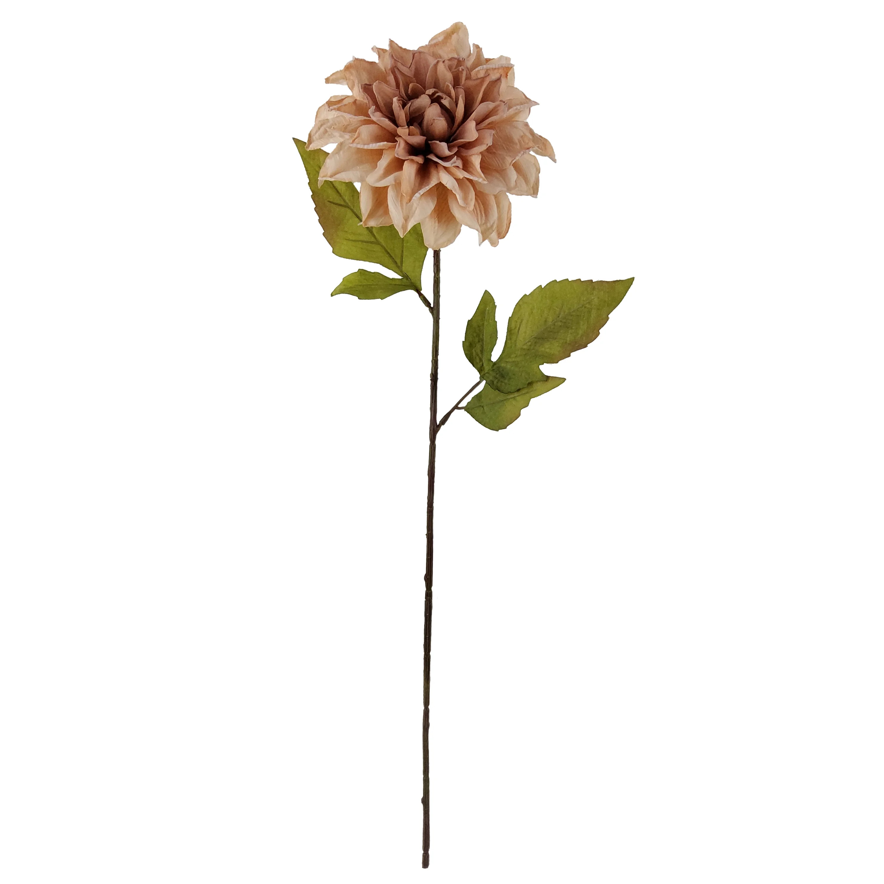 Mainstays 24.75 in Cream Artificial Dried Look Dahlia Stems, Set of 6, Indoor Use. | Walmart (US)