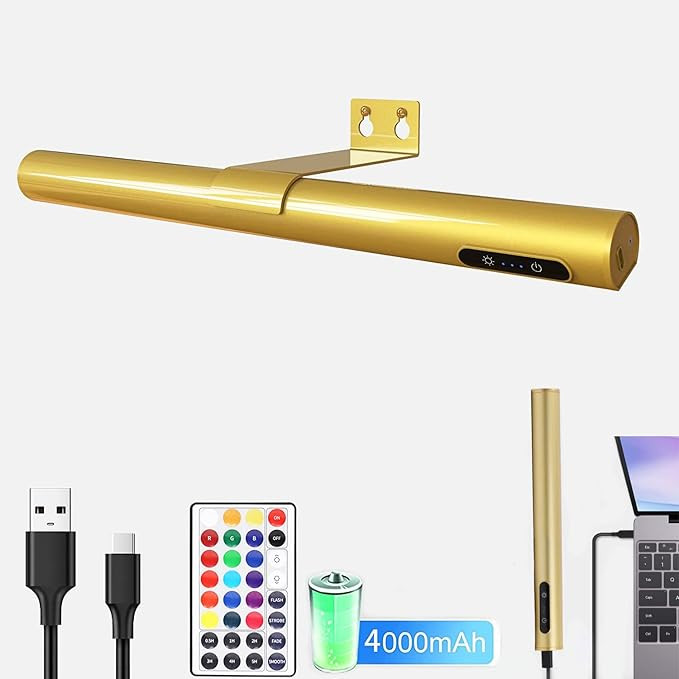 SENFAY Wireless LED Picture Light with Remote, Rechargeable Picture Light Battery Operated, RGB D... | Amazon (US)