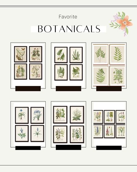 Favorite Botanticals

#LTKunder50 #LTKSeasonal #LTKhome