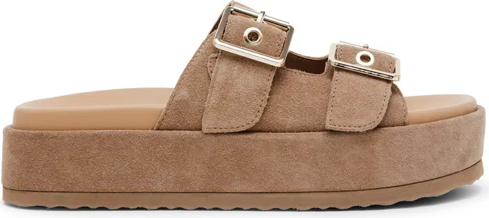 Steve Madden Katie Platform Slide Sandal (Women) | Nordstrom | Nordstrom