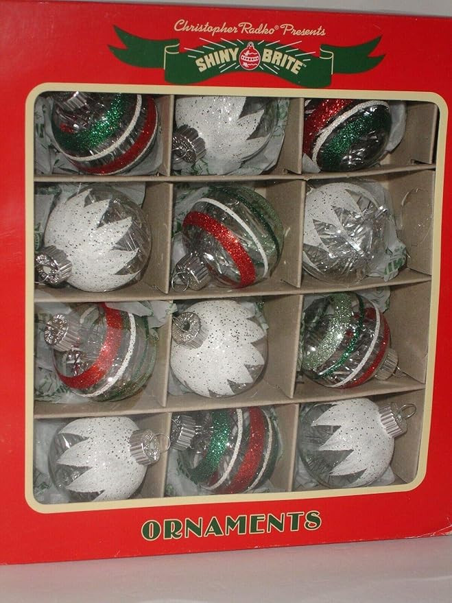 Shiny Brite Christmas Glass Ornaments Set of 12 ~ Frosted Glitter with Tinsel | Amazon (US)