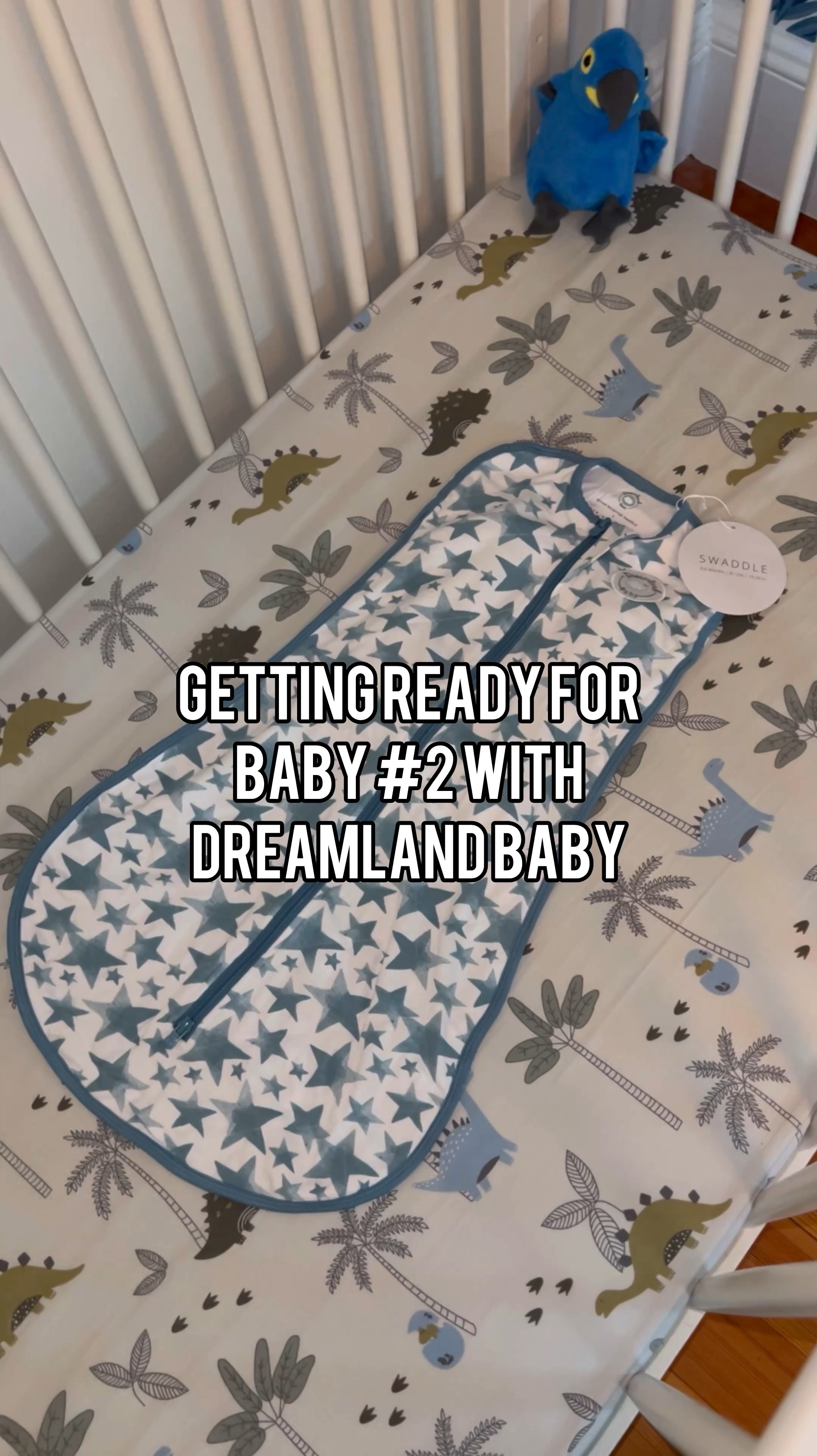 Getting ready for baby boy #2 with Dreamland Baby

#LTKBaby #LTKFindsUnder100 #LTKBump