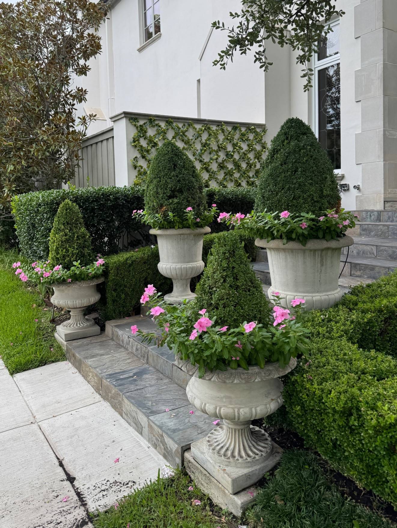 artificial boxwood topiaries coming in for our fall decor. there is a huge sale at Nearly Natural and some of the other site included. Make sure to look for UV protected products for any artificial plants you plan on leaving outside. 

#LTKSaleAlert #LTKHome