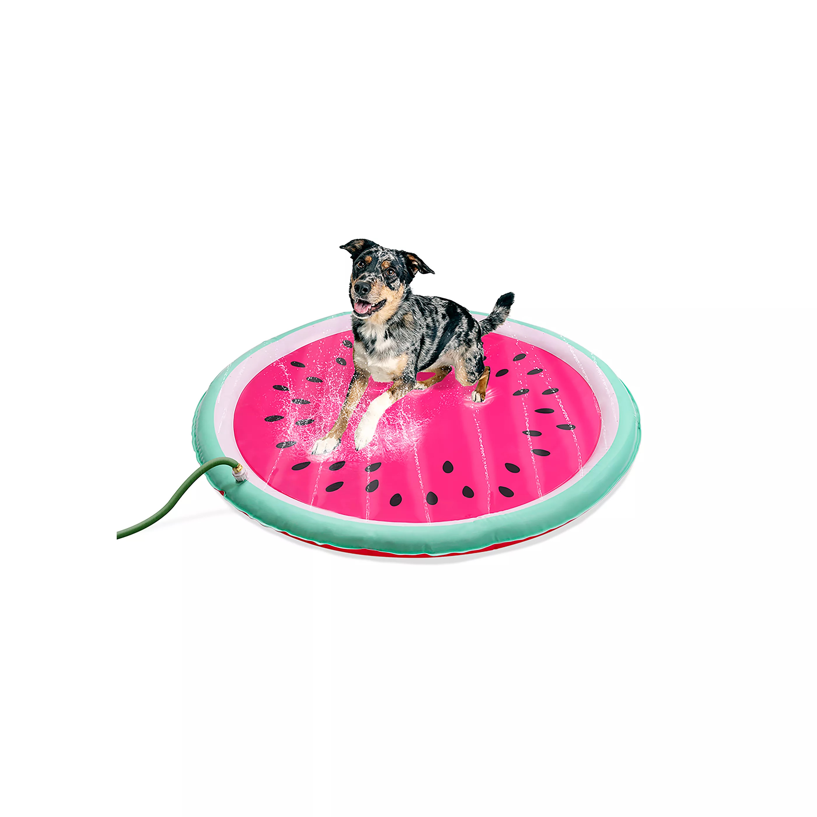 Top Paw® Watermelon Sprinkler Splash Pad | PetSmart