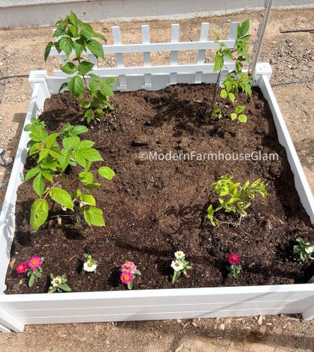 New raised garden bed in vegetable garden at Modernfarmhouseglam. Stay tuned to my Instagram stories for all the details. I have four of these!

Outdoor spring white trellis picket fence summer plants flowers planting 

#LTKhome #LTKkids #LTKSeasonal