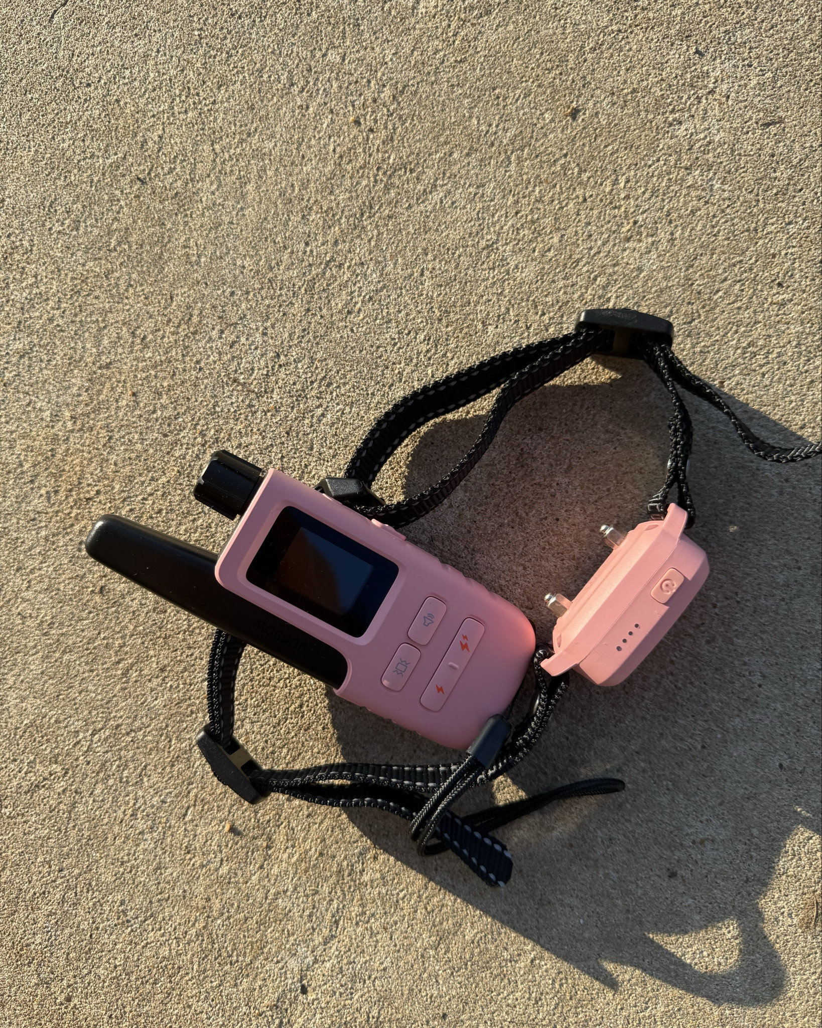 #puppy #dogcollar #shockcollar #goldenretriever #petowner #dog @jugbow 