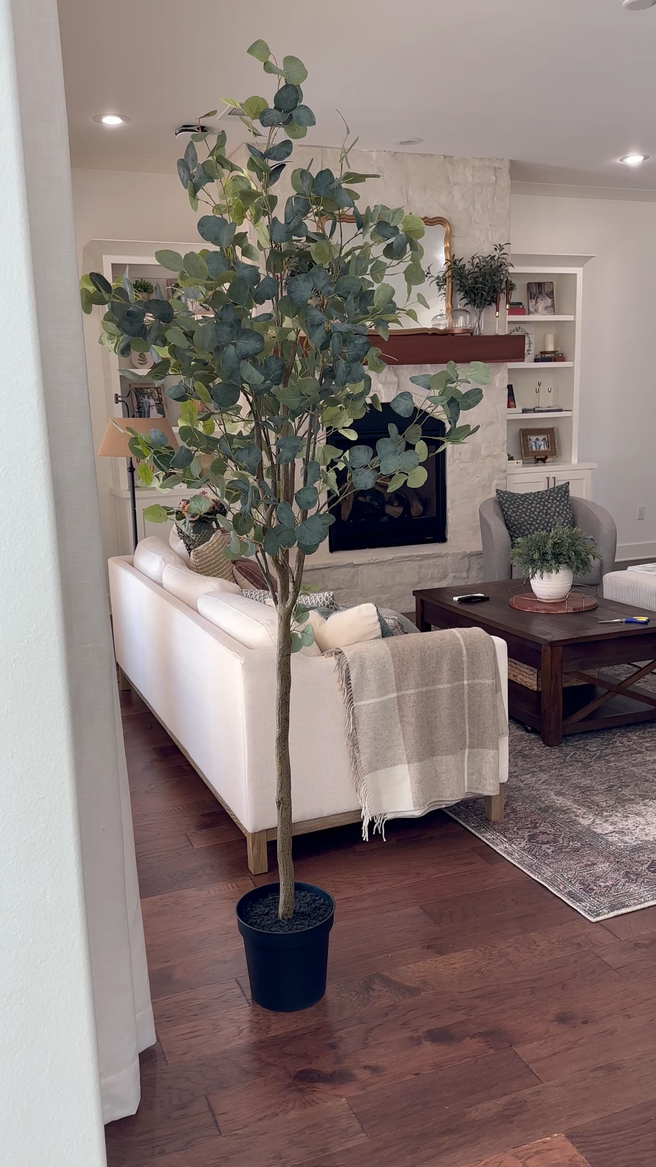 This realistic faux eucalyptus tree adds some wonderful height & texture to my living room. 

#fauxtree #potterybarn #potterybarnfinds #eucalyptus #livingroom #homedesign #interiordecor #fauxplants #realisticfauxplants #homebody

#LTKhome #LTKFind #LTKunder50