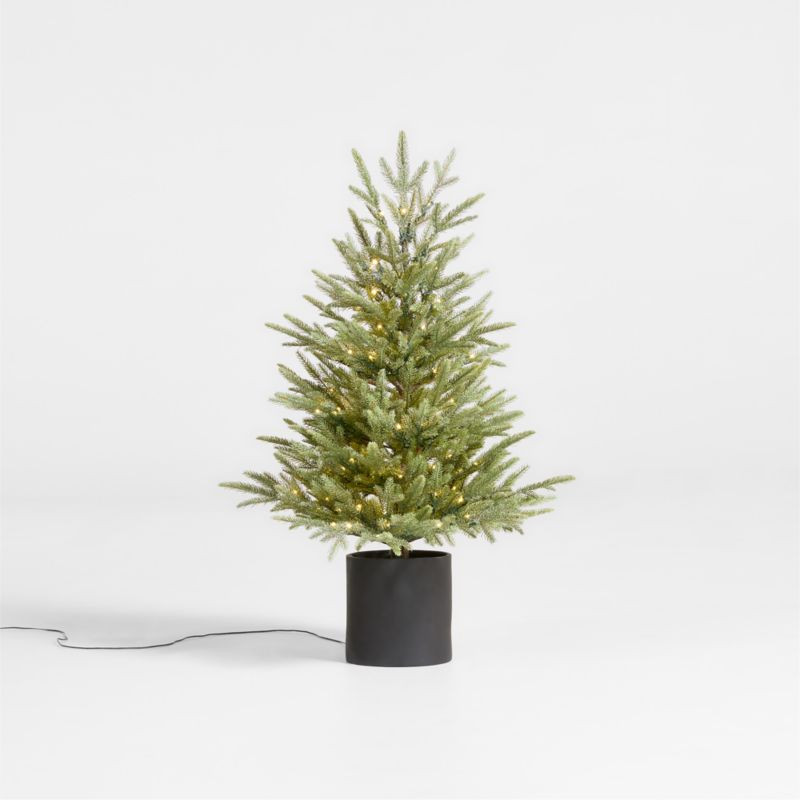 Faux Potted Norway Spruce Pre-Lit LED Tree with White Lights 3' + Reviews | Crate & Barrel | Crate & Barrel